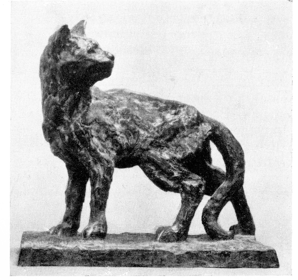 Безпритульна кішка, 1933 р.