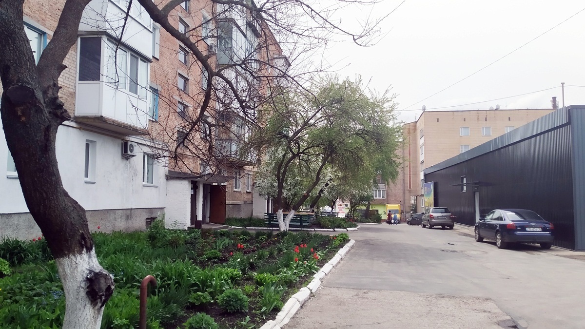 За їхніми словами, влітку ці неадекватні компанії засідають під під’їздом, взимку заходять всередину будинку