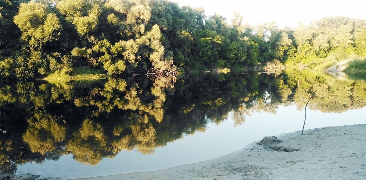 У цій неймовірно чистій воді Сейму, певно, водиться багато риби. Бо багато й рибалок зустрічали