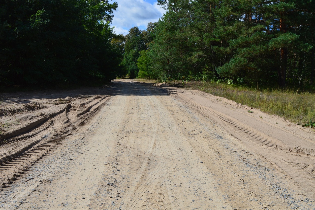 Лісова дорога на село Високе. Незабаром капремонт тут закінчать