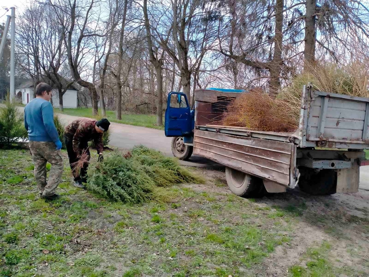 Весняне озеленення в Холмах