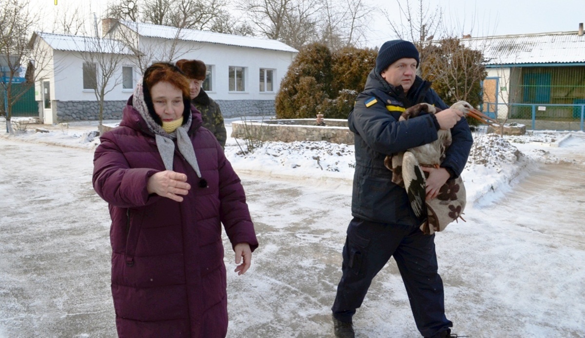 Ось так лелека прибув до Менського зоопарку