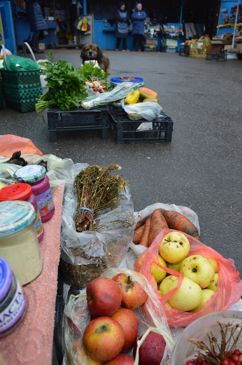 Домашні яблука Григорівна продає по 10 гривень