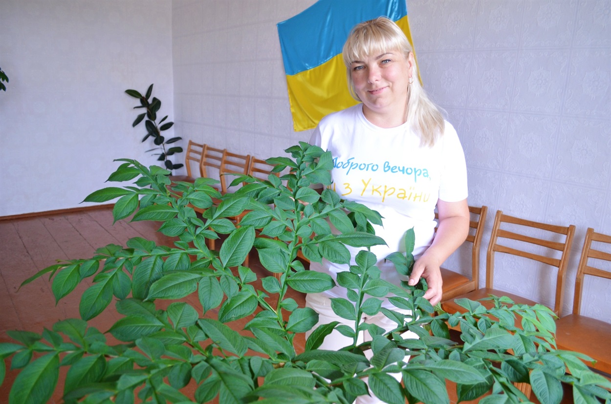 Діловод Наталія Солодка 