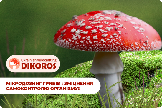 dikoros-ua.com — сайт корисних дикорослих грибів