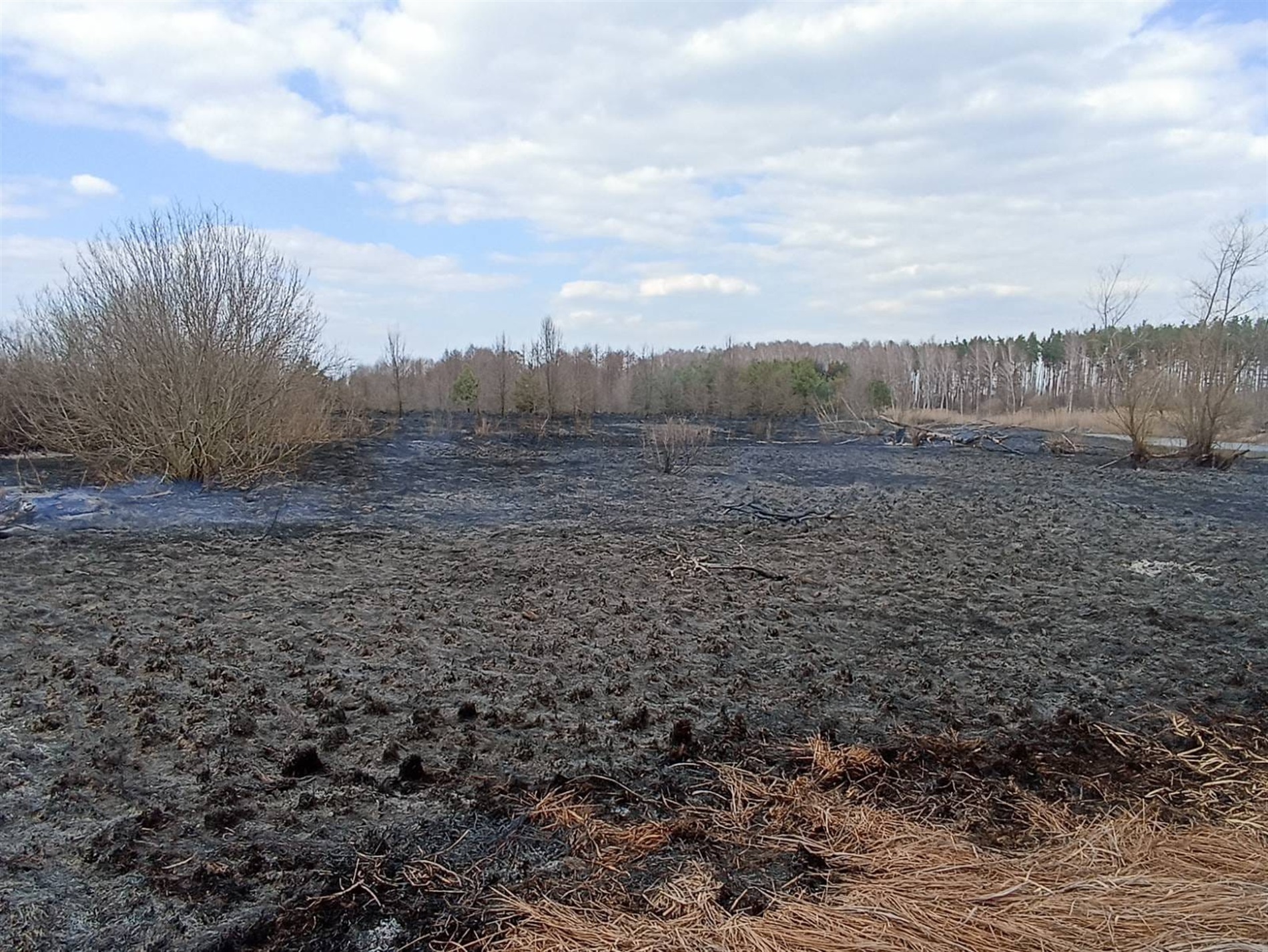 У Блистові через підпали сухостою вигоріло близько 50 гектарів лугу